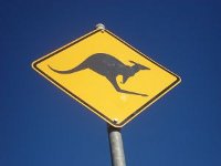 Aussie Shiraz