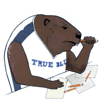 LLM beaver